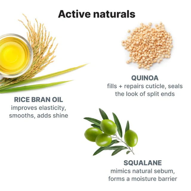 Illustration of active natural ingredients with text on a white background