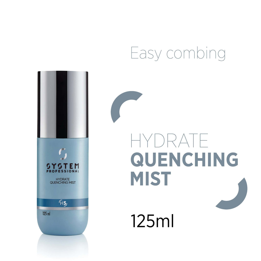 System Professional - Hydrate Quenching Mist